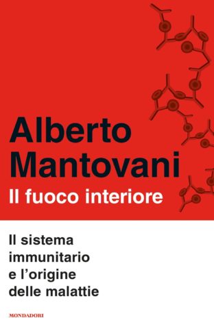 Fuoco interiore. Il sistema immunitario