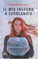 Mio inverno a Zerolandia (Il)