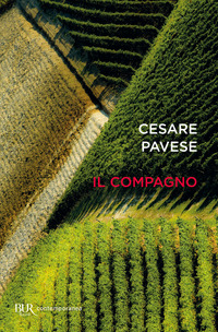 Compagno (Il)