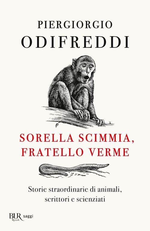 Sorella scimmia, fratello verme. Storie