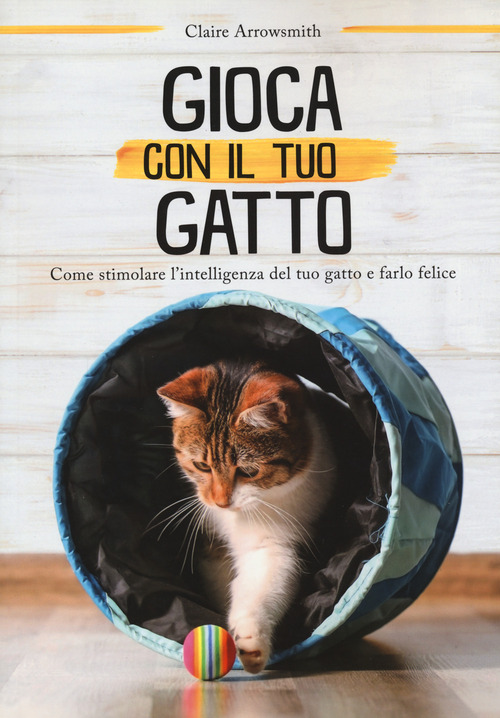 Gioca con il tuo gatto. Come stimolare l