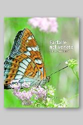Farfalle del Veneto. Atlante distributiv