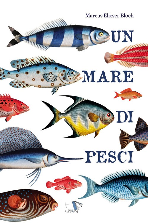 Mare di pesci. Ediz. a colori (Un)