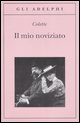 Mio noviziato (Il)