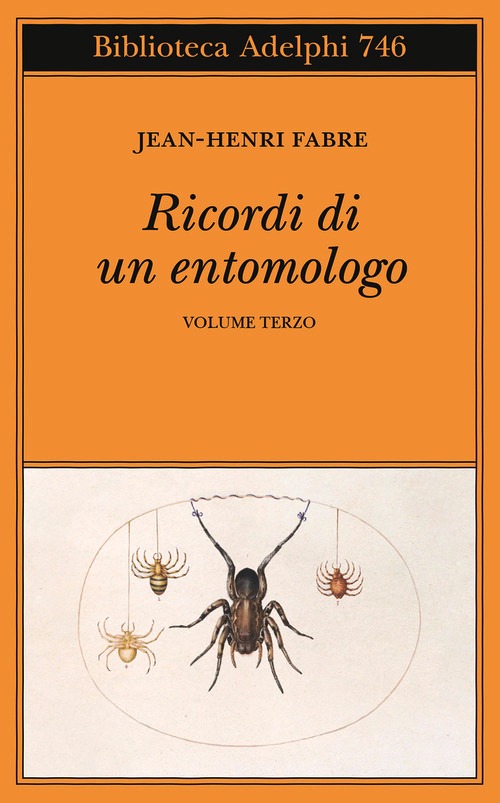 Ricordi di un entomologo. Vol. 3