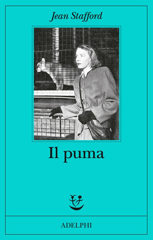 Puma (Il)