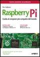 Raspberry Pi. Guida al computer più comp