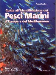 Guida all'identificazione dei pesci mari