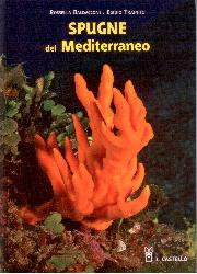 Spugne del Mediterraneo. Ediz. illustrat