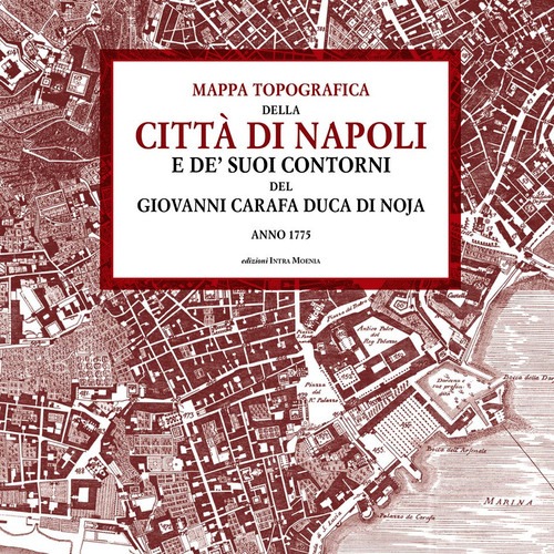 Mappa topografica della città di Napoli