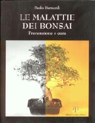 Malattie dei bonsai. Prevenzione e cura