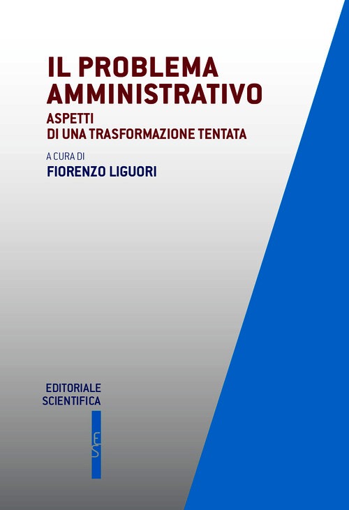 Problema amministrativo. Aspetti di una