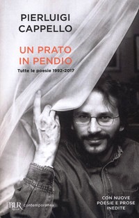Prato in pendio. Tutte le poesie 1992-20