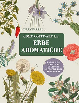 Come coltivare le erbe aromatiche. L'art