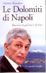 Dolomiti di Napoli. Racconti di politica