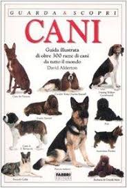 Cani. Ediz. illustrata