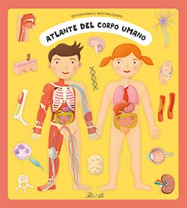 Atlante del corpo umano. Esploriamo il n