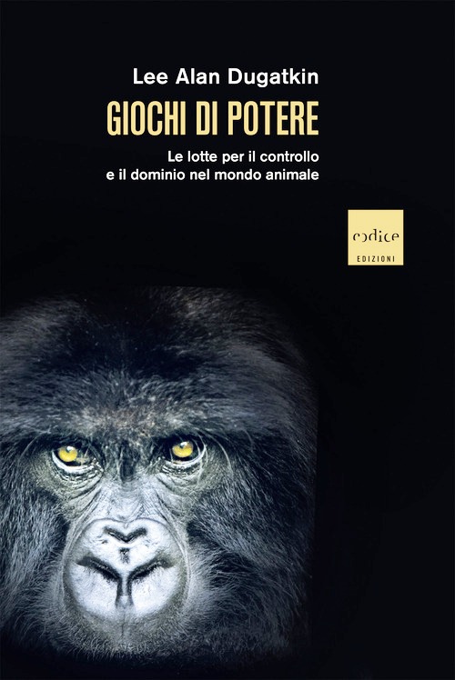 Giochi di potere. Le lotte per il contro